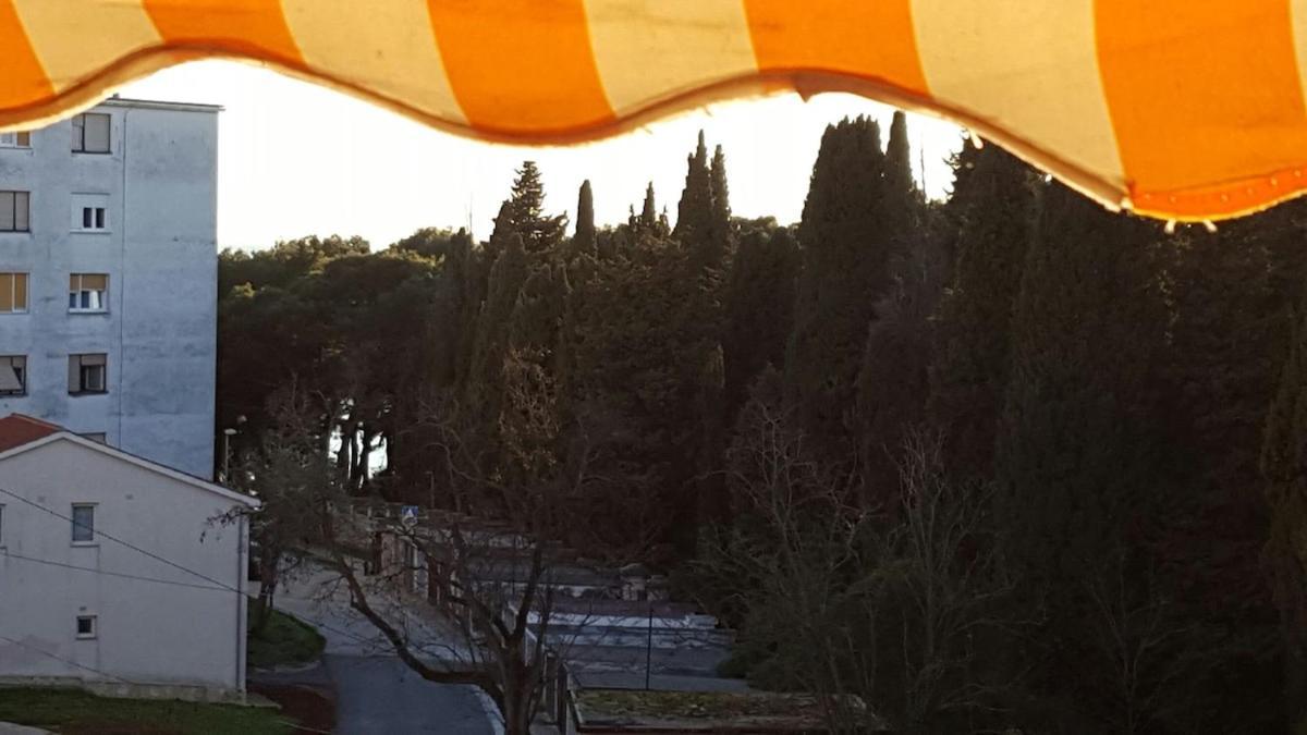 Apartment Valcane